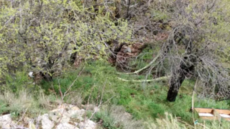 Isparta'da Tepeden Düşen Kadın Hayatını Kaybetti, Kurtarmak İsterken Düşen Adam Poliste