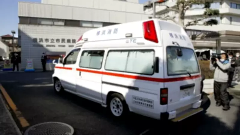 Japonya'da zincirleme kaza: Minibüsten savrulan öğrenci hayatını kaybetti