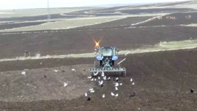 Kars'ta çiftçiler imece usulüyle ekim yapıyor