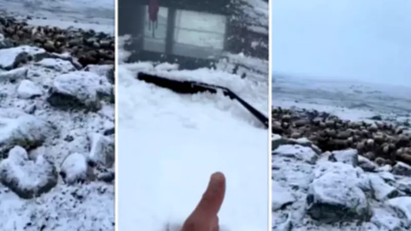 Kars'ta Mayıs Sonunda Kar Sürprizi: Beyaz Örtü Köyleri Vurdu