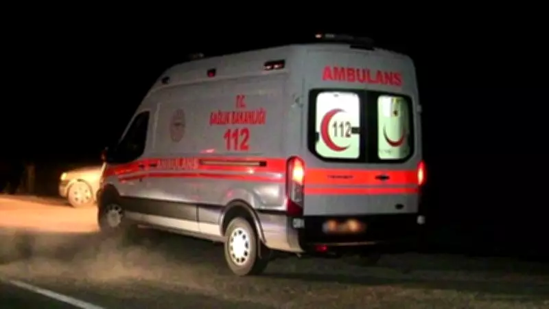Kastamonu'da ağaç devrilmesi sonucu bir kişi hayatını kaybetti