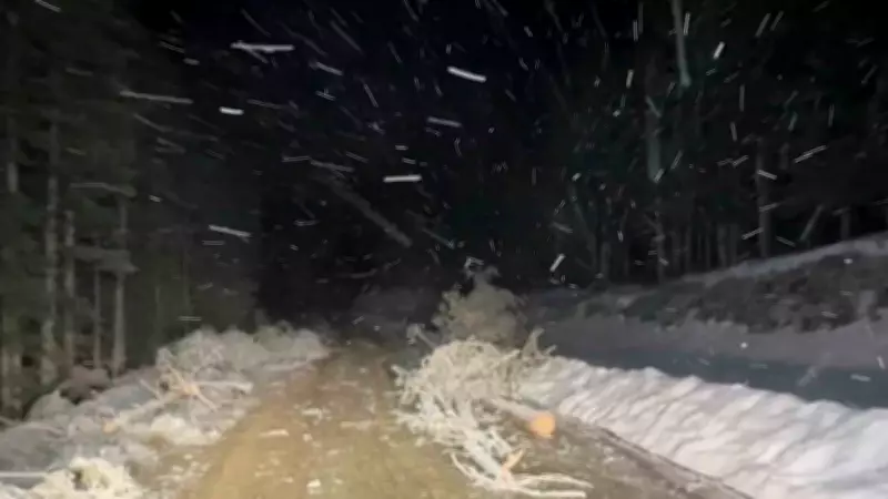 Kastamonu'nun Yüksek Kesimlerinde Kar Yağışı Etkili Oluyor
