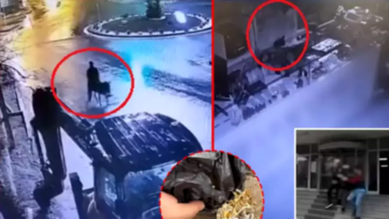 Kayseri'de eşeğiyle altın çalan hırsızın cezası belli oldu