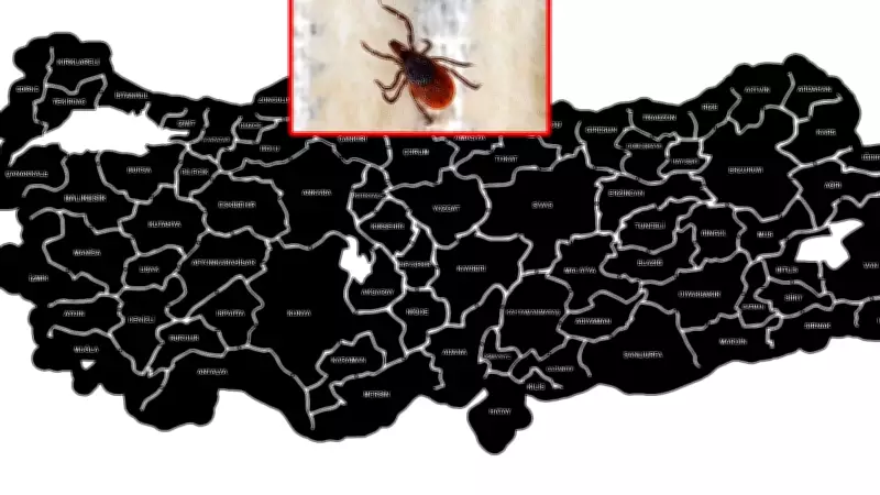 Kene Sayısı Artıyor: KKKA Hastalığına Dikkat