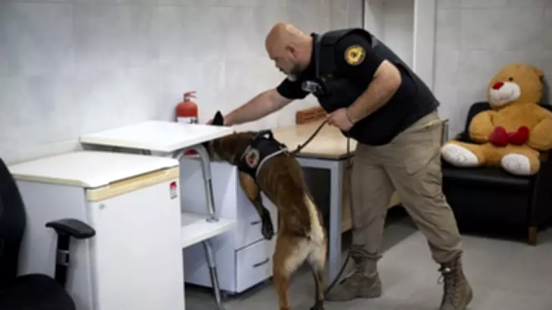 Keskin Burunlar Siber Suçların Peşinde: Köpekler Teknolojiyle Buluştu