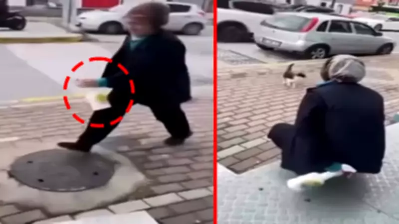 Kocaeli'de sokak kedisine yağ çözücü sıkan kadın adli kontrolle serbest