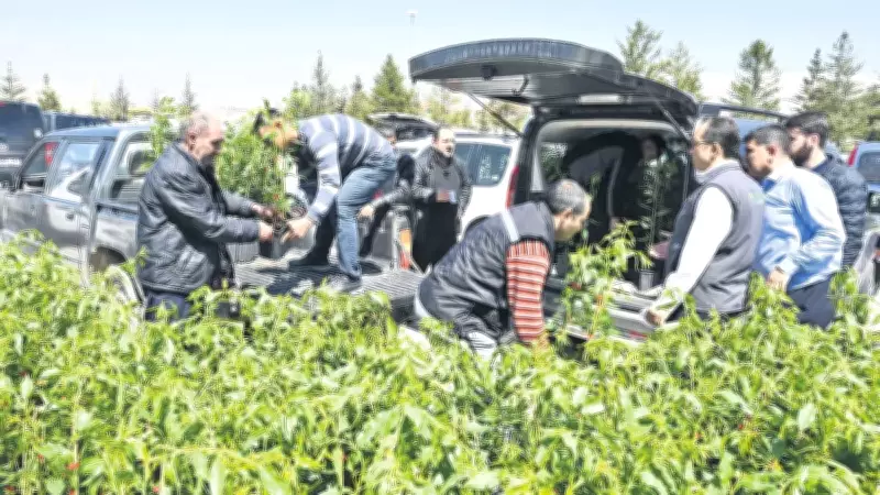 Konya'da 31 bin 420 fidan ve 265 ton tohum desteği sağlandı