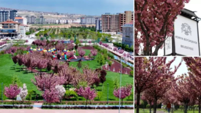 Konya'da Sakura Ağaçları Açtı, Görsel Şölen Başladı