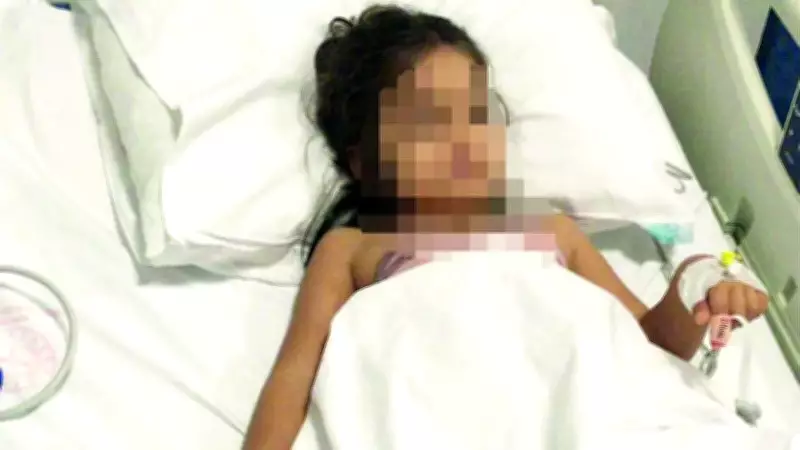Köpek saldırısı davasında anne ifade verdi, sanık özür diledi