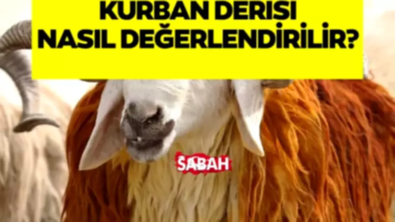 Kurban derisi ile ne yapılır? Diyanet İşleri Başkanlığı açıkladı