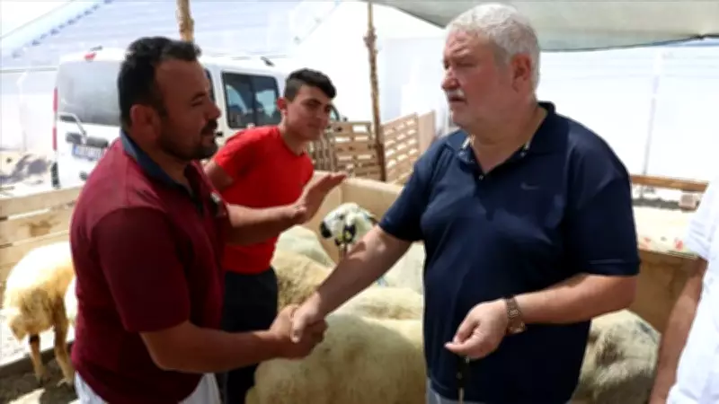 Kurban Fiyatları 2026: Son Gün İndirimiyle Büyükbaş ve Küçükbaş Fiyatlarında Son Durum