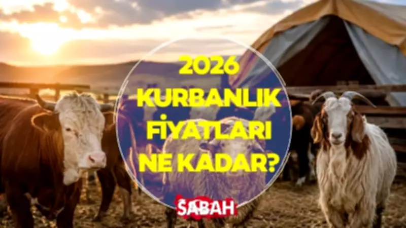 Kurbanlık Fiyatları 2026: İstanbul, Ankara, İzmir... İl il Küçükbaş ve Büyükbaş Fiyatları