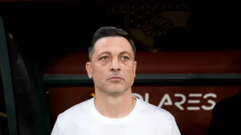 Mirel Radoi: Bir An Önce Bir Şeylerin Yapılması Lazım!