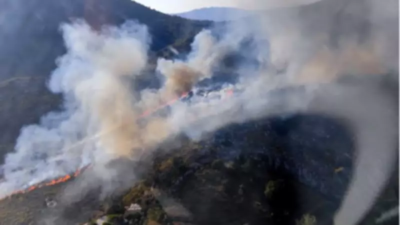 Muğla Marmaris'te orman yangını: Havadan ve karadan müdahale sürüyor