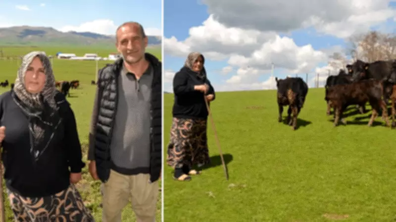 Muş'ta Kadın Çiftçiye Devlet Desteğiyle Hayvancılık Başarısı