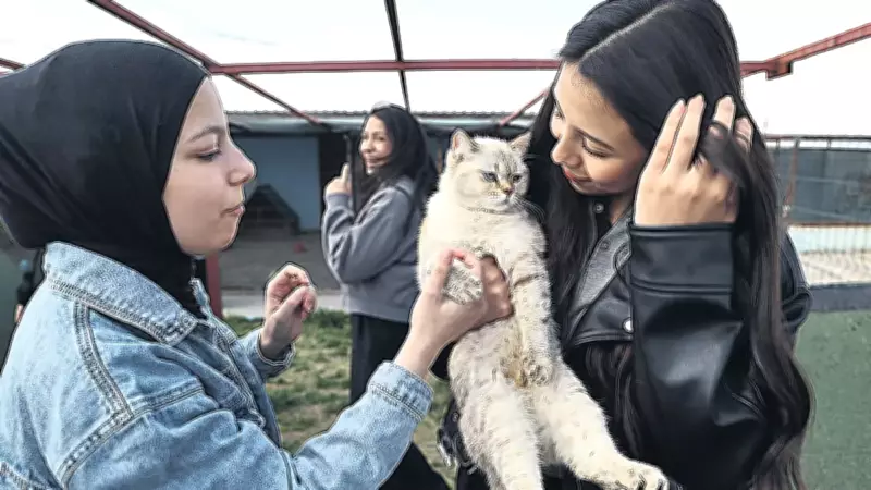 Nevşehir'de 'hayvan kasabası'nda bu yıl 150 köpek sahiplendirildi