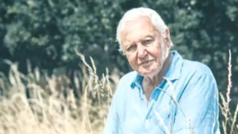 Ünlü belgeselci David Attenborough 100 yaşında