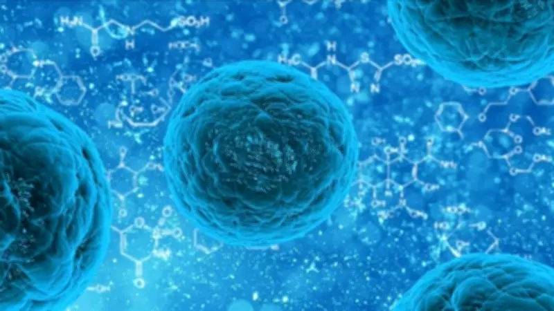 Norovirüs Nedir? Belirtileri ve Korunma Yolları Nelerdir?