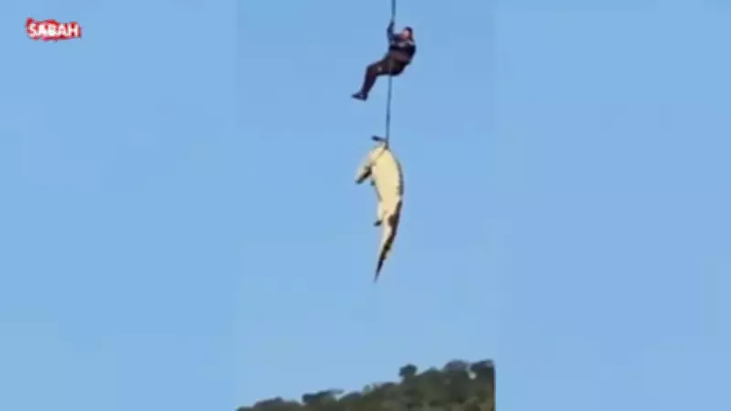 İnsan yiyen timsah helikopterle yakalandı, midesinden 6 çift ayakkabı çıktı