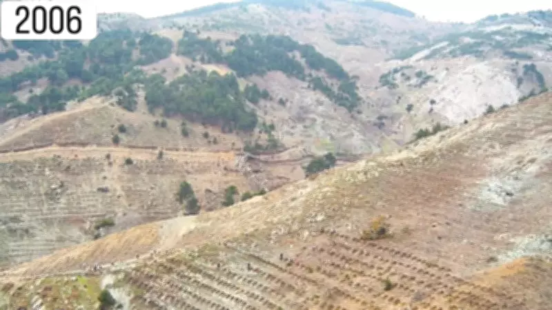 Çoraktı Cennet Oldu: Madra Dağı'nda 2.5 Milyon Fidan Yeşerdi