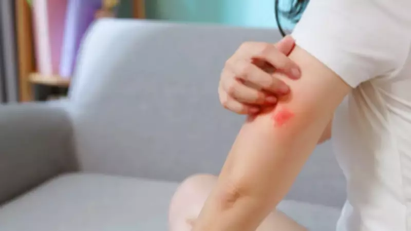 Pencere Önüne Sadece 2 Tanesini Koyun: Tek Bir Sinek Bile Yaklaşamıyor!
