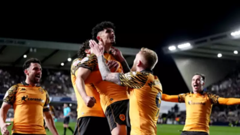 Premier Lig'e çıkan son takım: Hull City - Middlesbrough finali
