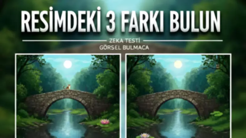 Resimdeki 3 Farkı Bulanların IQ'su Ortalamanın Üstünde! 90 Saniyeniz Var
