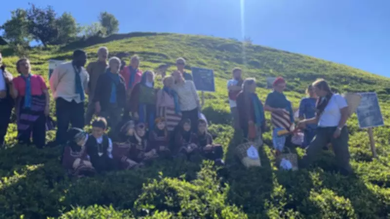 Rize'de çay hasadı ilk kez şenlikle karşılandı