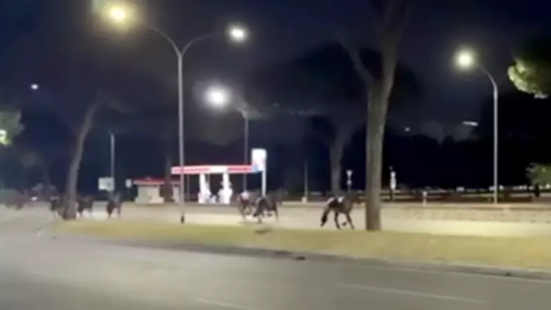 Roma'da gece yarısı at paniği: Cumhuriyet Bayramı hazırlıklarında ortalık karıştı