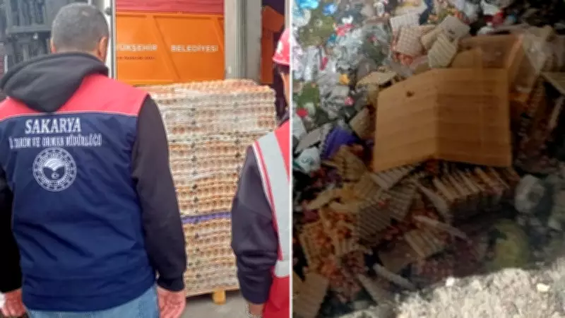 Sakarya'da sahte organik yumurta operasyonu: 42 bin yumurta imha