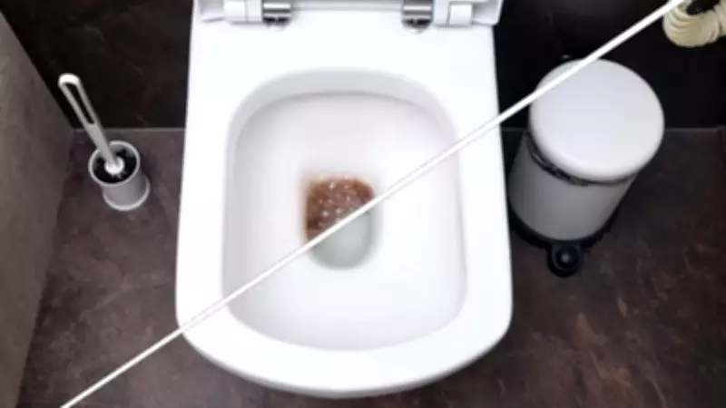 Sakın çamaşır suyu dökmeyin! Klozet lekelerini çıkarmanın sırrı bambaşkaymış