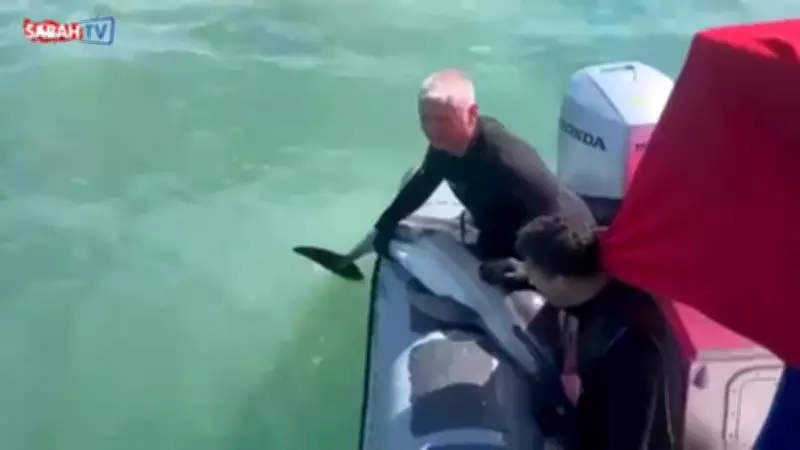 Samsun Polisi Kürtün Deresi'nde Mahsur Kalan Yunusu Kurtardı