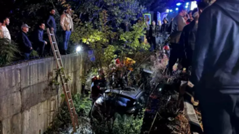Serdivan'da Otomobil Dereye Uçtu: 1 Yaralı