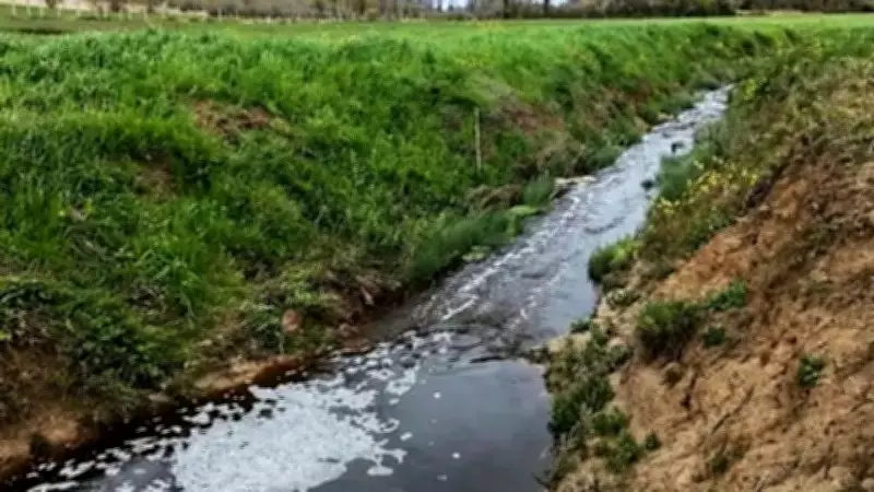 Sinop'ta çevreyi kirleten tesise 1.6 milyon TL ceza