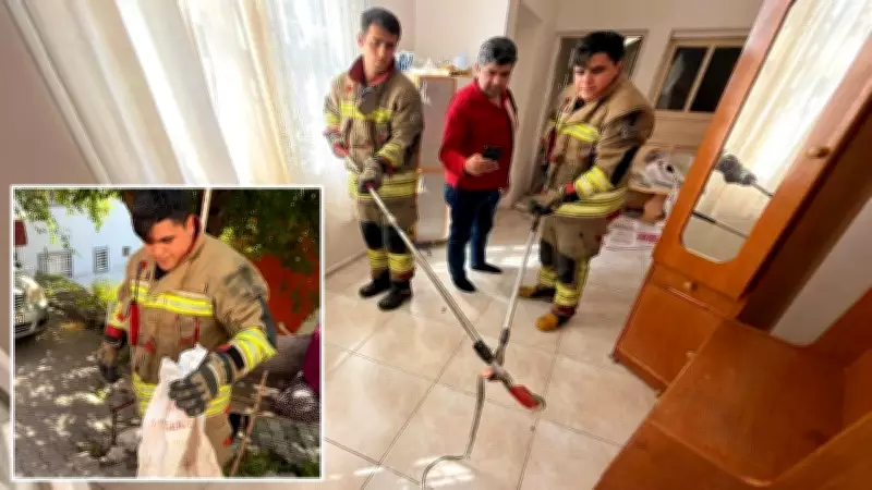 İskenderun'da eve giren yılanı itfaiye yakaladı