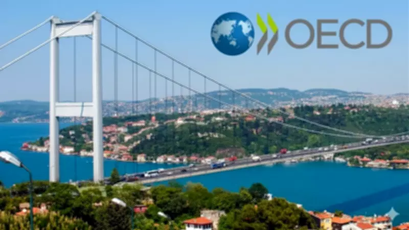 İstanbul OECD Merkezi İçin Stratejik Adım: Katkı Payı Düşürüldü