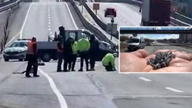 İstanbul'da Kamyondan Dökülen Vidalar Trafiği Felç Etti