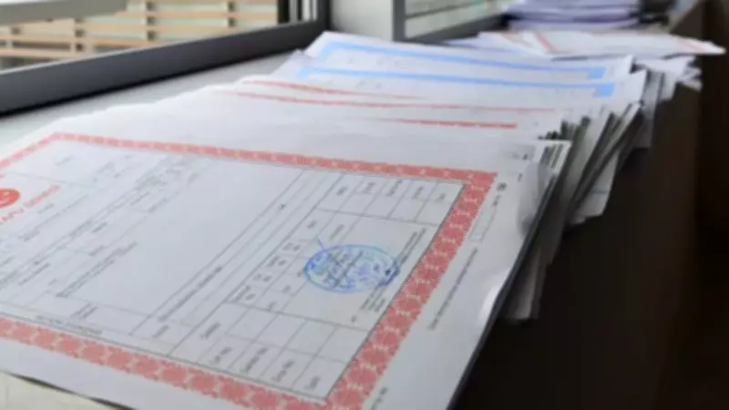 Tapu Renklerinin Anlamı: Bilmeyenler Büyük Zarar Ediyor