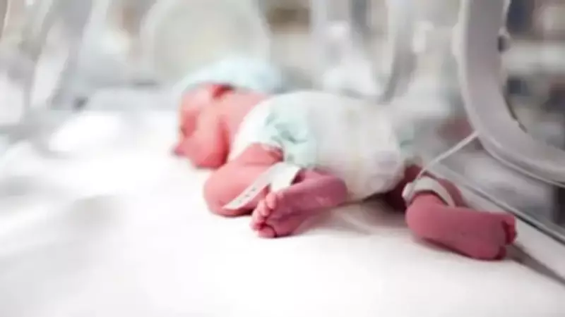 TÜİK 2025 Doğum İstatistikleri: Doğurganlık Hızı 1,42'ye Geriledi