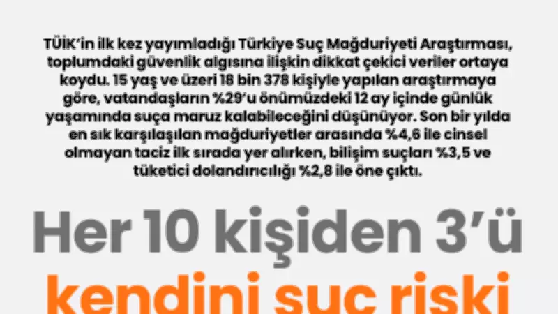TÜİK'in ilk suç mağduriyeti araştırması: Her 10 kişiden 3'ü risk altında