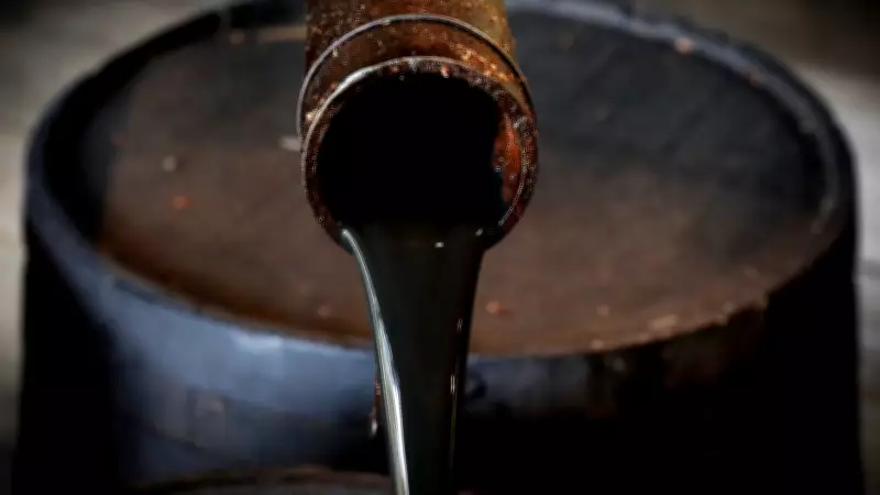 TPAO ve Çalık Petrol'ün arama ruhsat süreleri uzatıldı