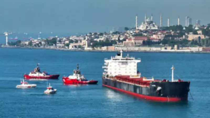 Türk Boğazları'nda acentelere yeni düzenleme: Sınıflandırma ve sermaye şartı