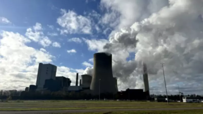 Türkiye'de yenilenebilir enerji yatırımları rekor kırarken termik santrallerin önemi artıyor