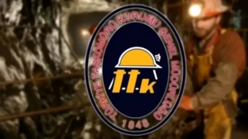 TTK 262 işçi alımı yapacak! Başvuru tarihleri ve şartları belli oldu