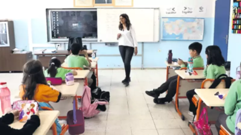 Tunceli'de Kedili Sınıf: Anne Kedi ve 5 Yavrusuna Öğrenciler Sahip Çıktı
