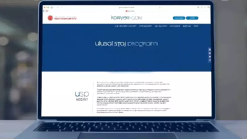 Ulusal Staj Programı 2026 sonuçları ne zaman açıklanacak? İşte sorgulama ekranı