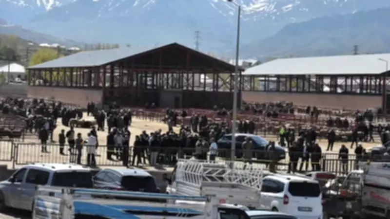 Van Hayvan Pazarında Silahlı Kavga: 1 Ölü, 13 Yaralı