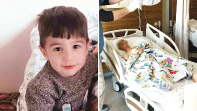 Van'da 13 Köpeğin Saldırdığı 5 Yaşındaki Hamza Hayatını Kaybetti