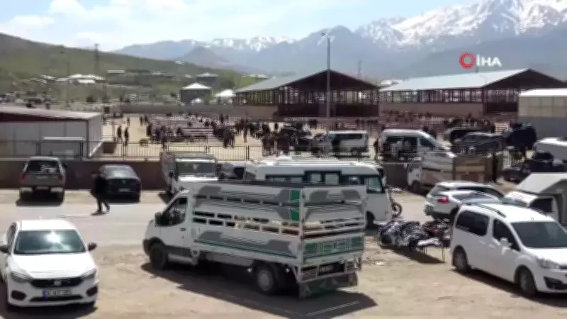 Van'da Hayvan Pazarında Silahlı Kavga: 1 Ölü, 13 Yaralı