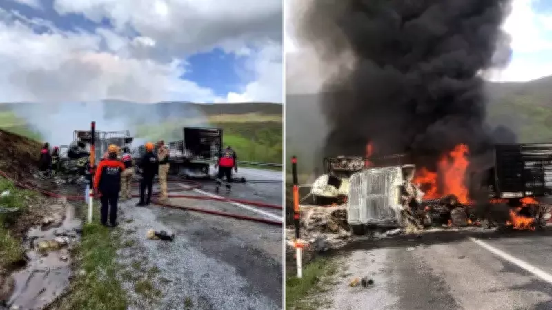 Van'da iki tır kafa kafaya çarpıştı: 2 ölü